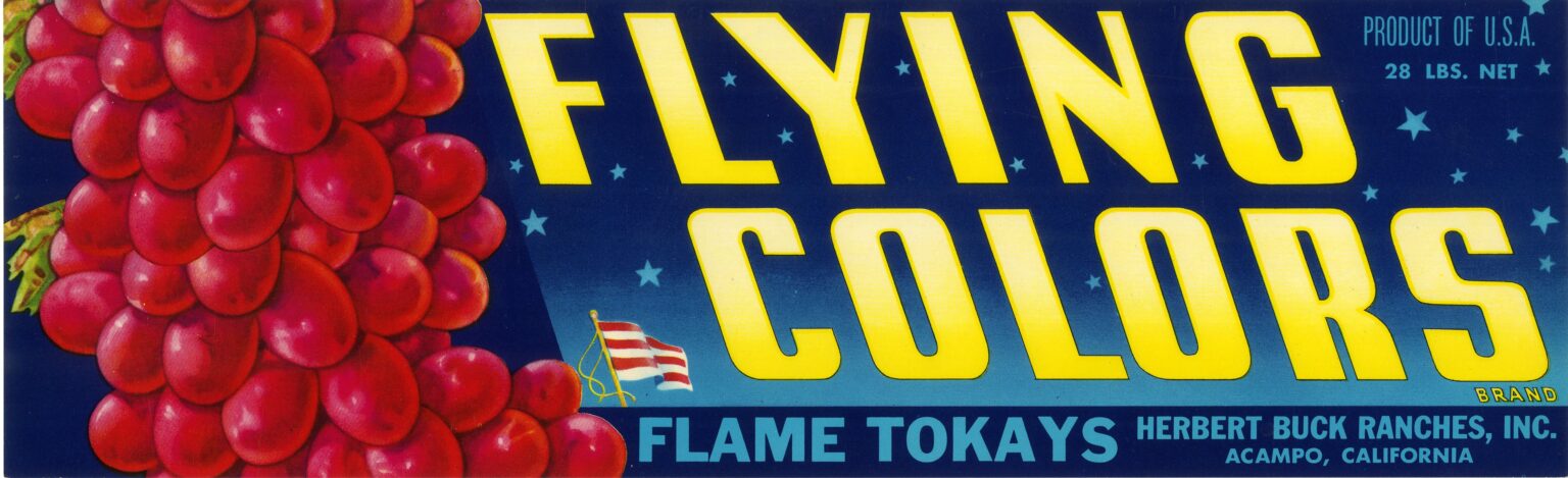 Flying Colors